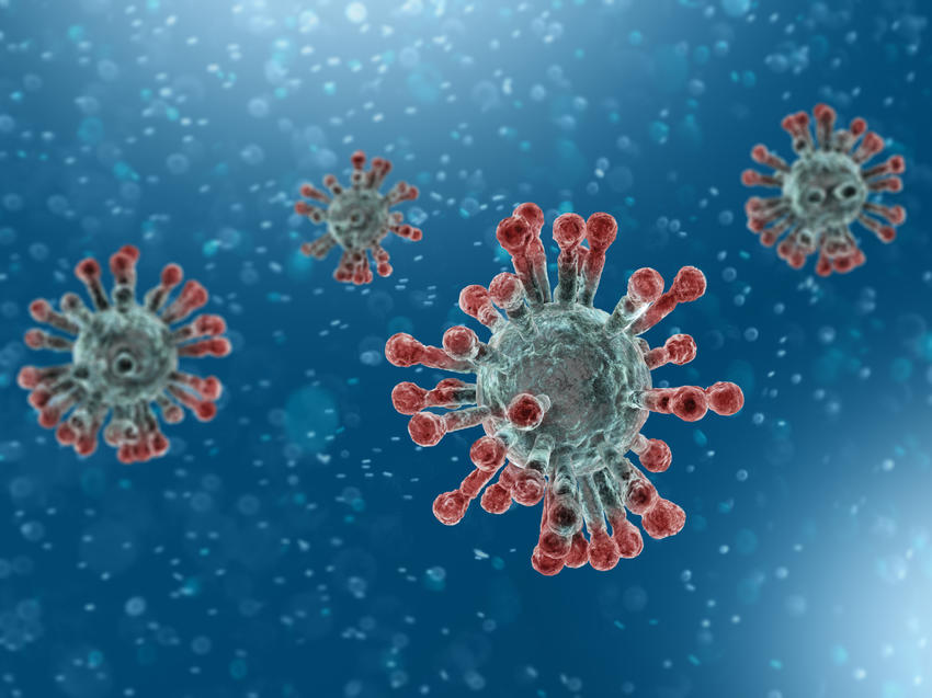 Coronavirus